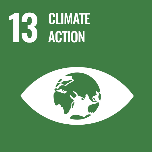 SDG 13 climate action